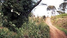 Dirt roads in Kenya